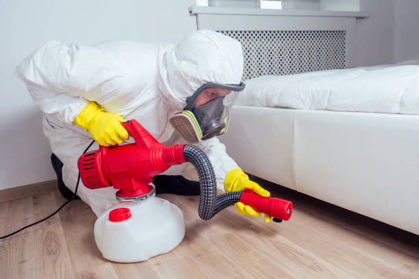 Best Pest Prevention Services  in Old Westbury, NY